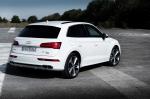 Audi Q5 55 TFSI e Quattro S-Line 2019 года (WW)
